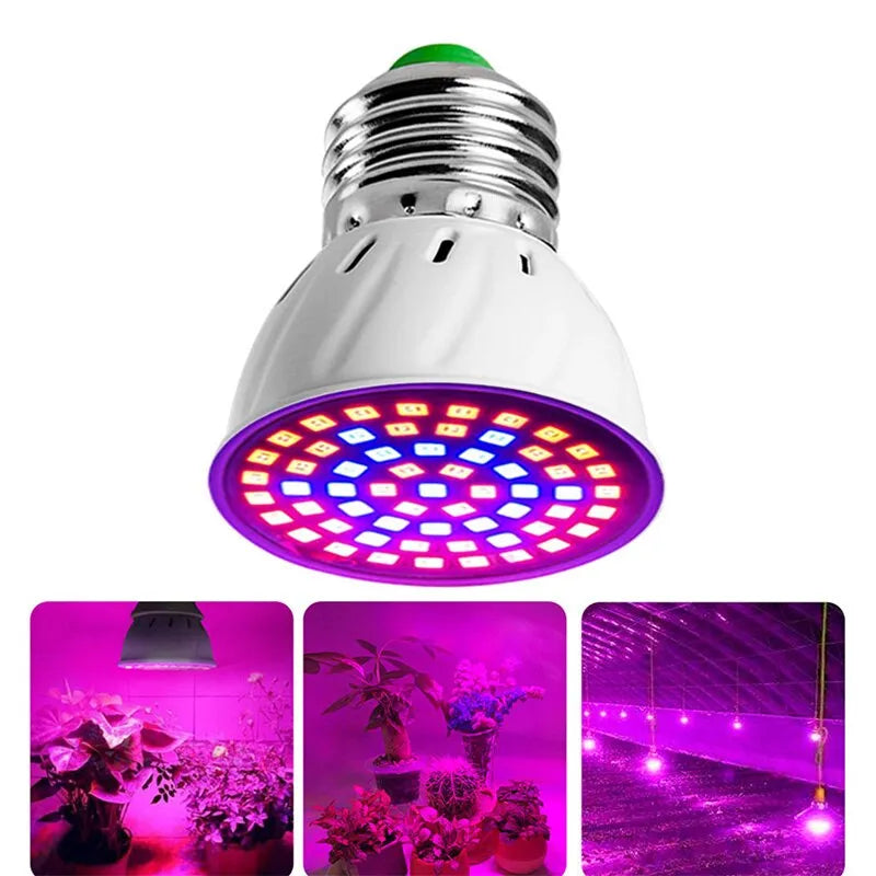 Full Spectrum LED Grow Bulb (E27, 60 LEDs) for Greenhouse