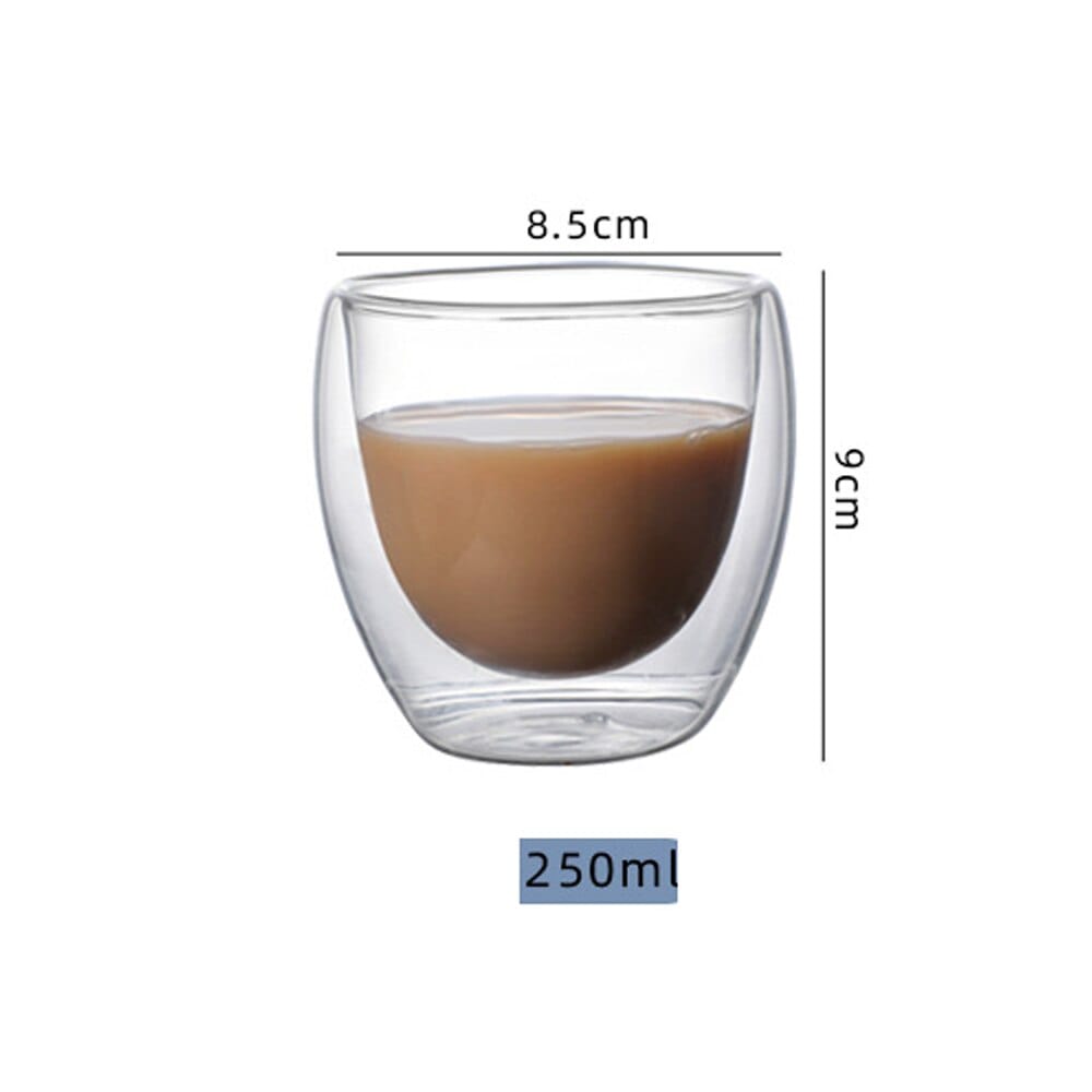 Home Finesse Insulated Double Wall Glass Mugs